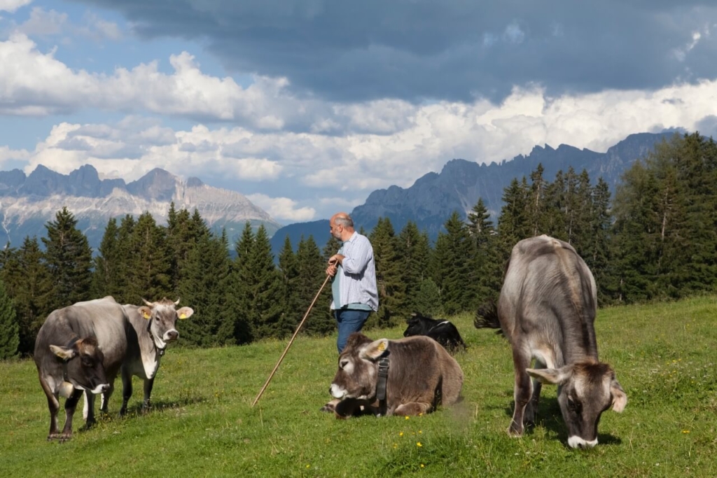 Hotel Mit Bauernhof Produkte 07